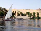 Assouan Ile Elephantine 0812
